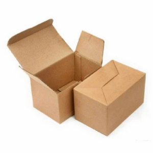 Auto Bottom Carton